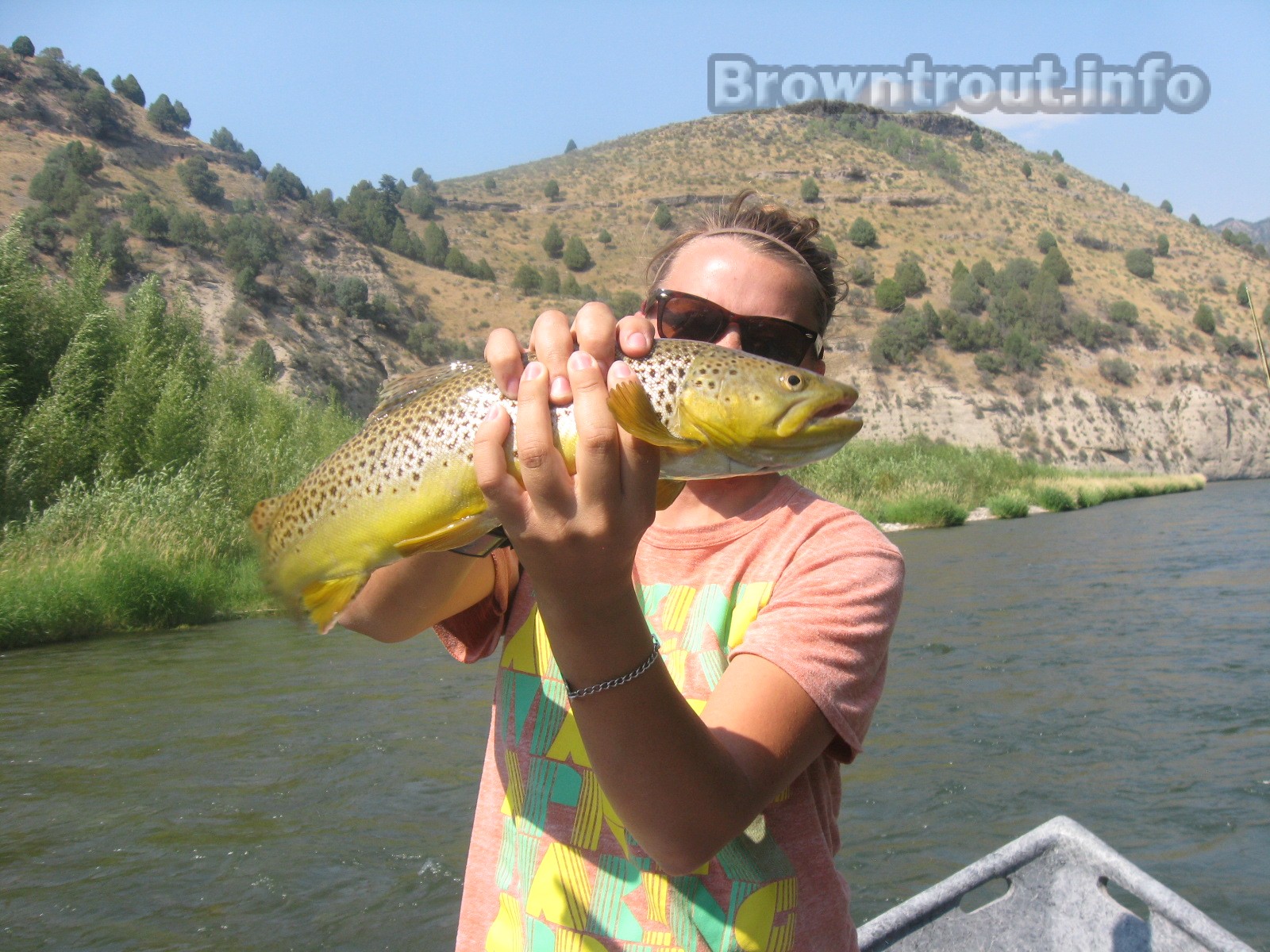 Trout Fishing Pictures Gallery