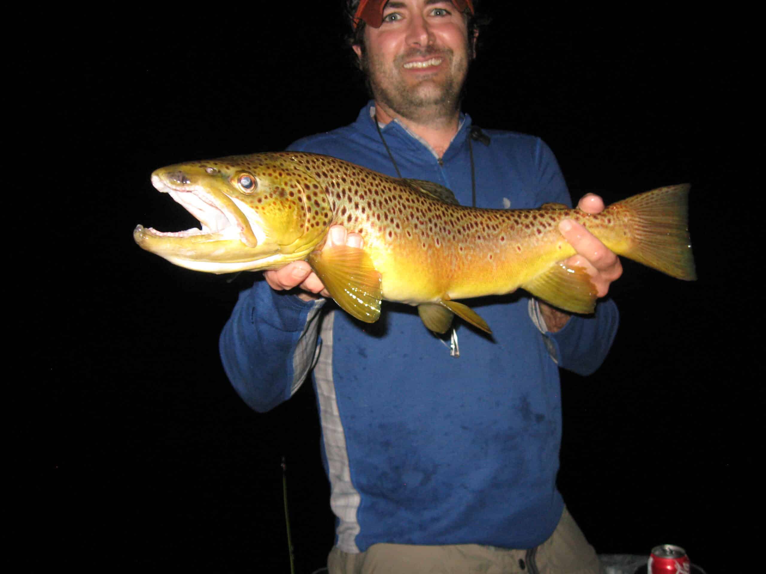 Fly Fishing the Hexagenia (hex) hatch/spinner fall for trout at night