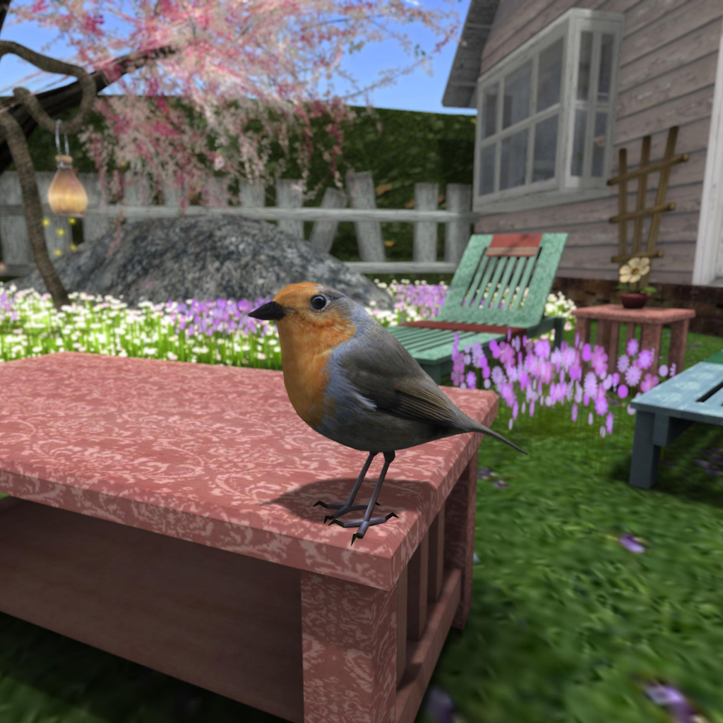 Birdie Robin! Trowix