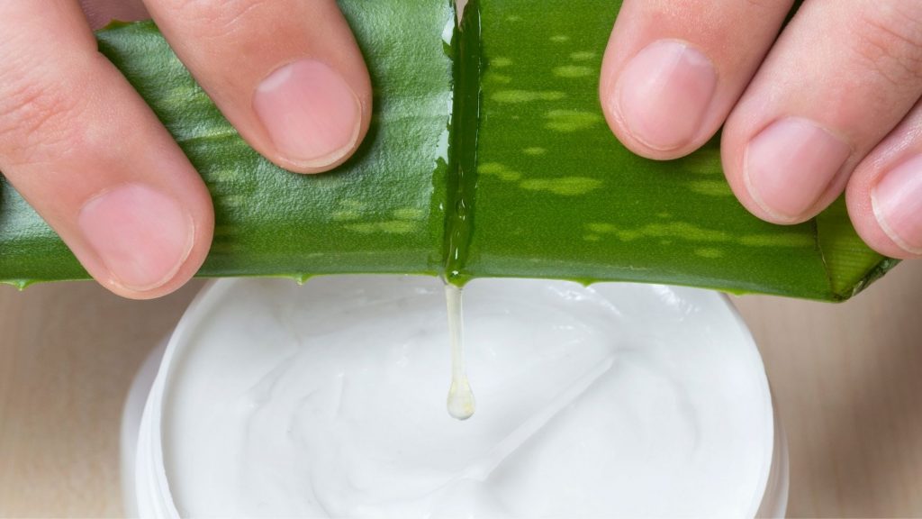 7 usos milagrosos del aloe vera para piel y cabello Troy