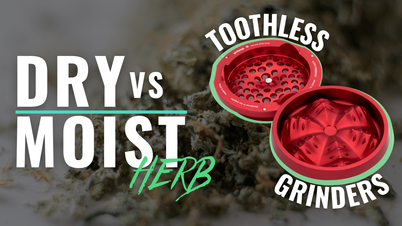 Dry vs Moist Herb // Toothless Grinders Troy and Jerry ThinkDank