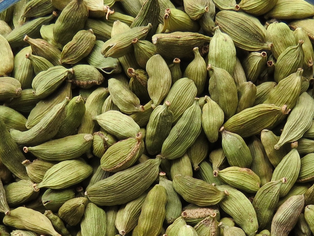 Green Cardamom Pods Troyer's Spices
