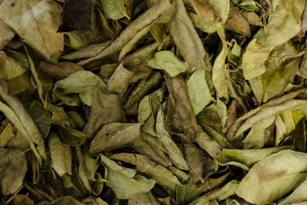 Dried Curry Leaves Troyer's Spices