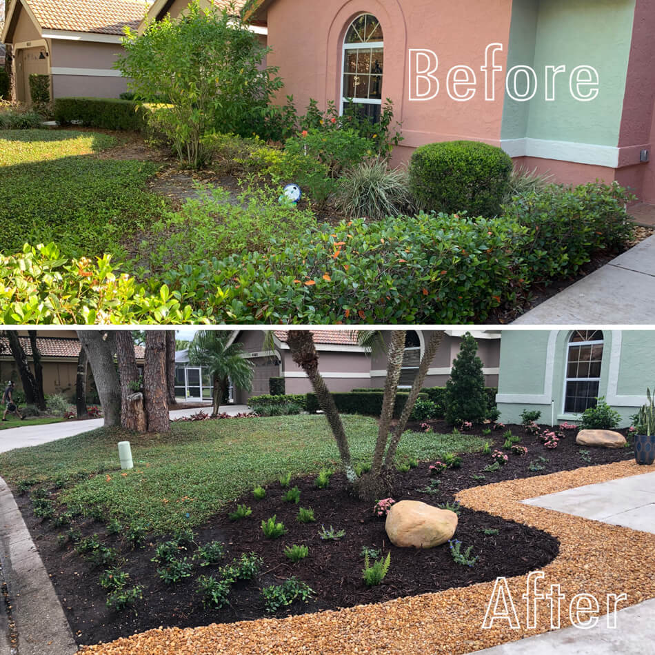 Sarasota Landscaping Transform Your Space TroysTropics