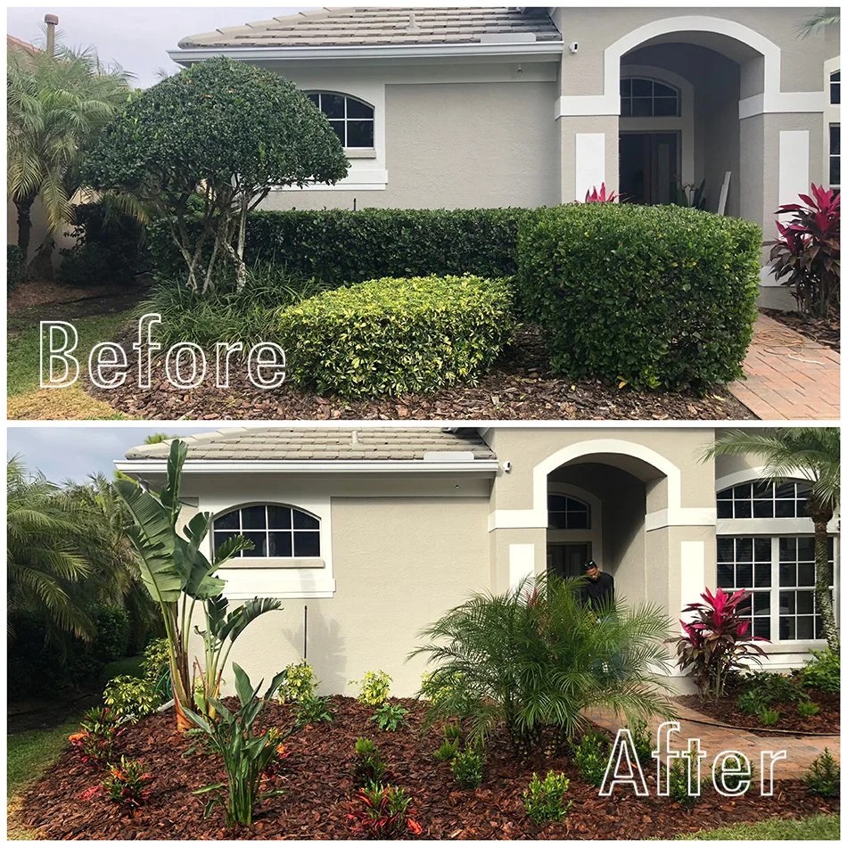 Sarasota Landscaping Transform Your Space TroysTropics