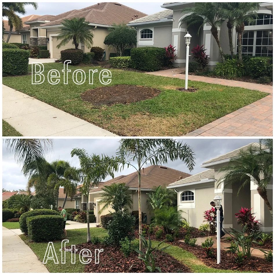 Sarasota Landscaping Transform Your Space TroysTropics