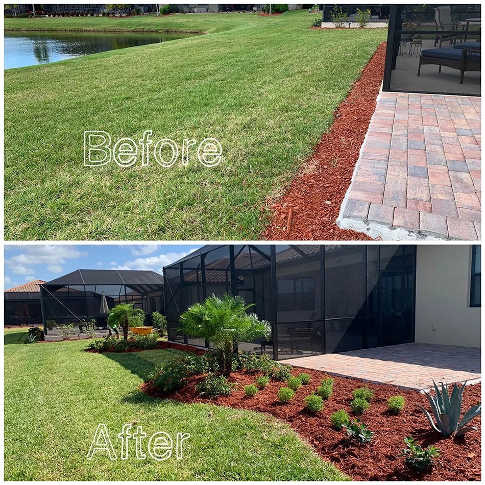 Sarasota Landscaping Transform Your Space TroysTropics
