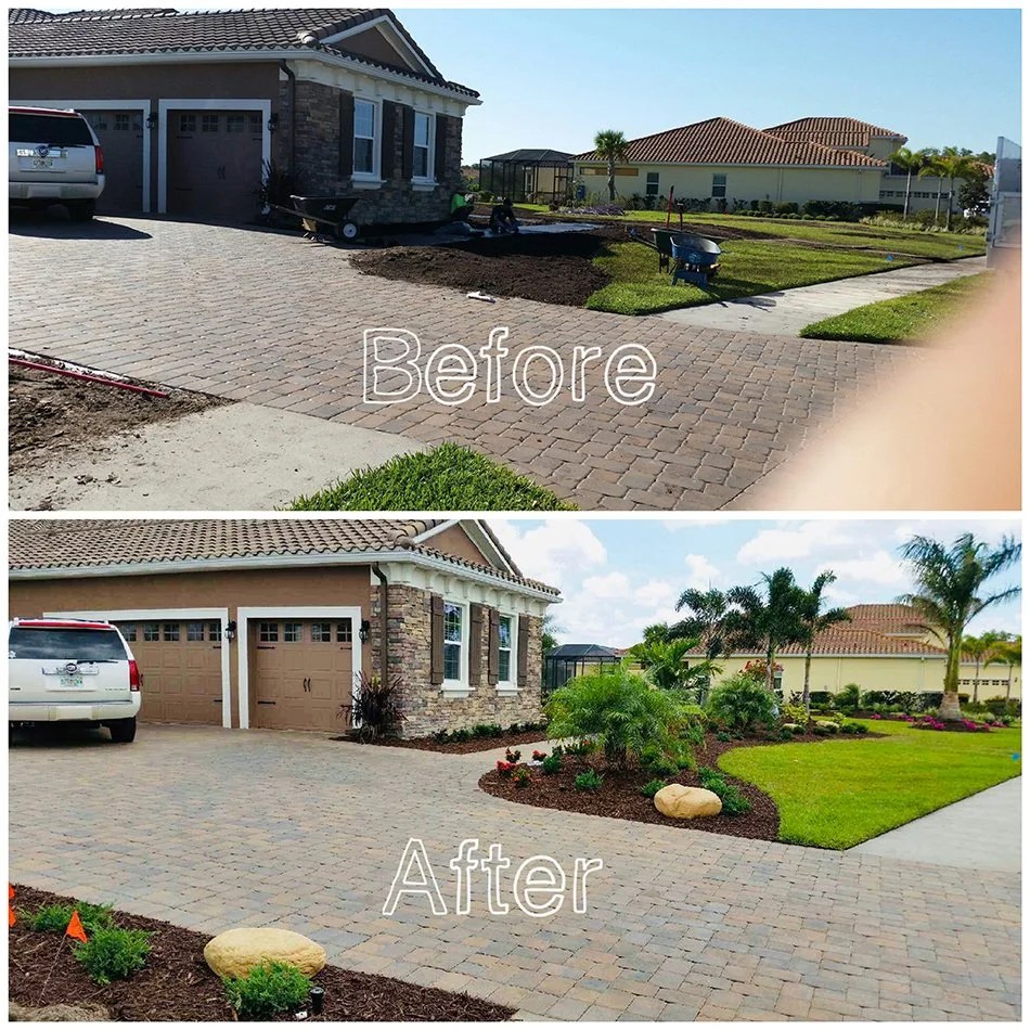 Sarasota Landscaping Transform Your Space TroysTropics