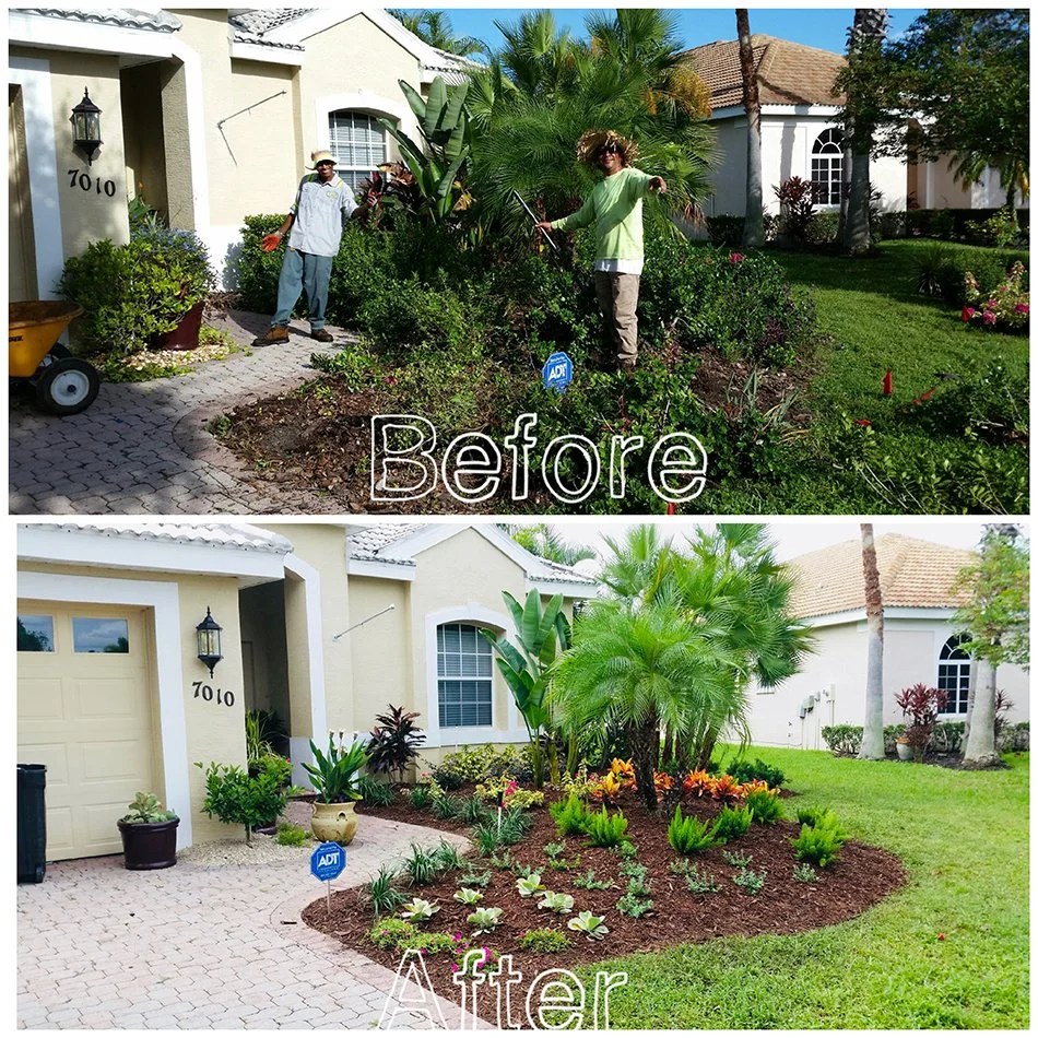 Landscaping in Sarasota Troy's Tropics Retail Plant Nursery