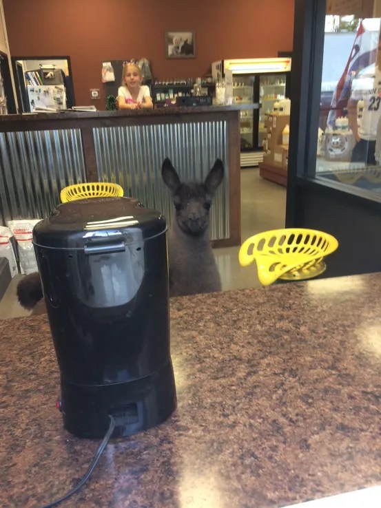 Gallery Troy Veterinary Clinic