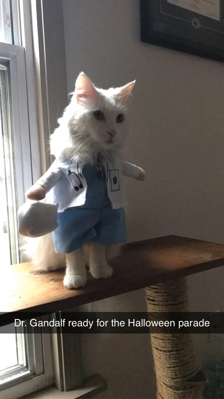 Gallery Troy Veterinary Clinic