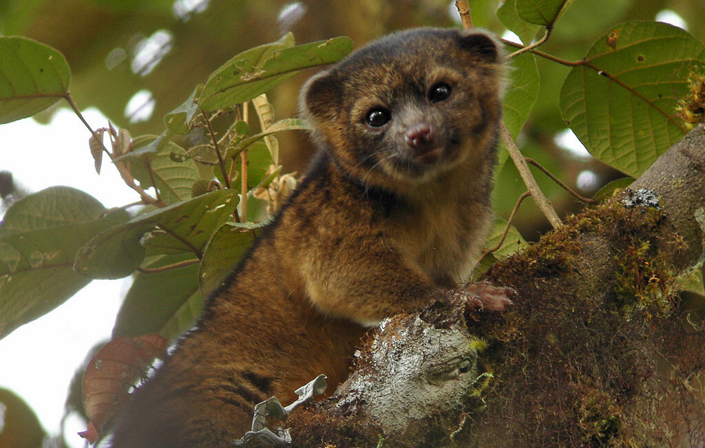 7 LesserKnown Science Facts That Will Leave You Pondering Life