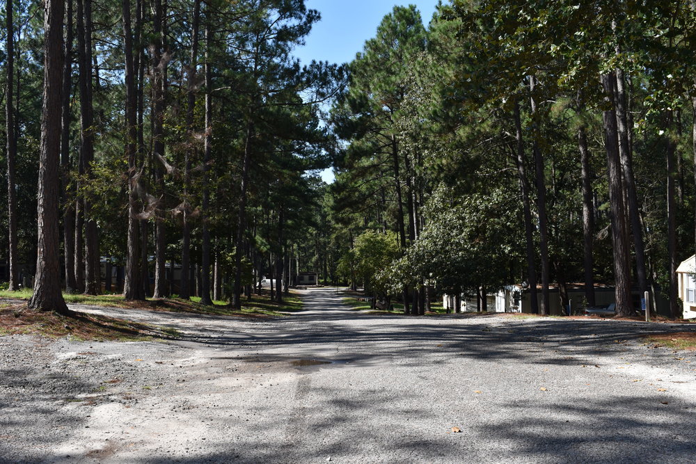 Pine Ridge MHP Trubild Property Management