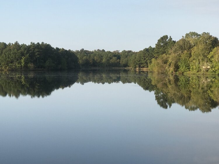 Swan Lake MHP Trubild Property Management