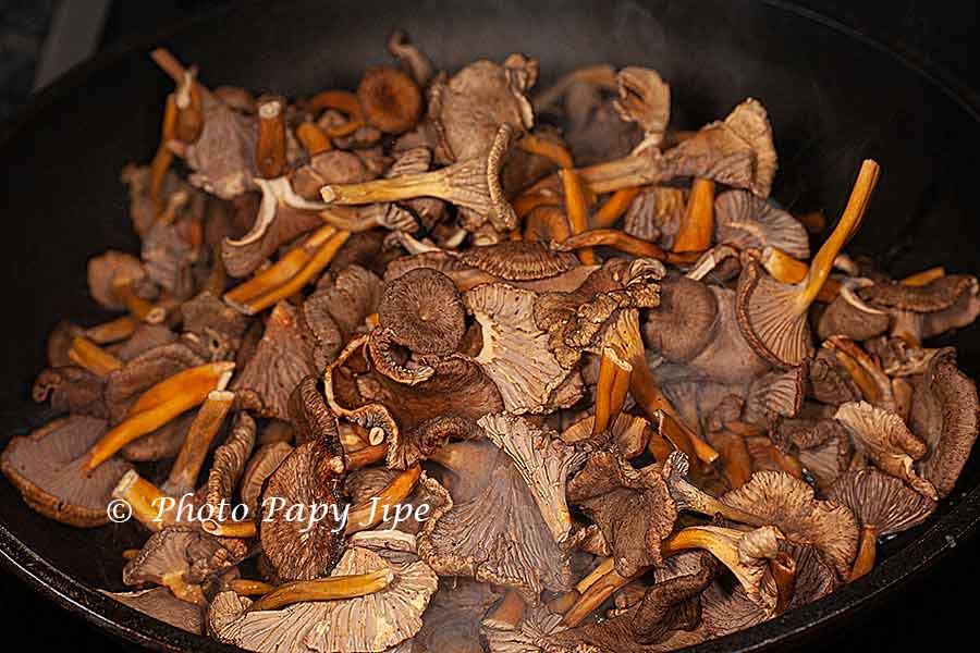 SAUCE AUX CHANTERELLES GRISES trucapapy