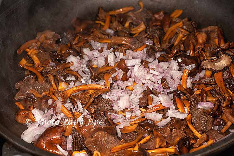 SAUCE AUX CHANTERELLES GRISES trucapapy