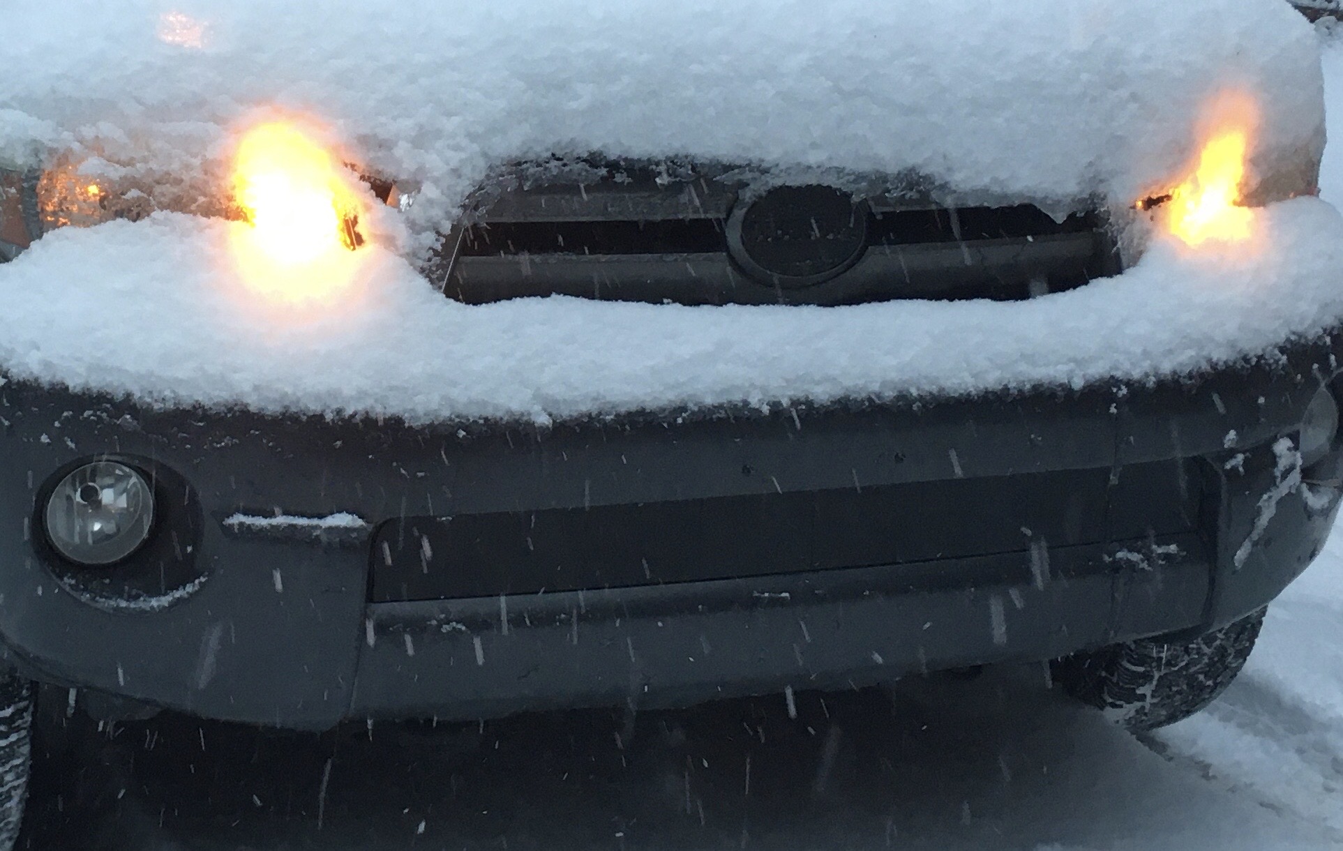 Lower grill block (partial or full) | Tacoma World