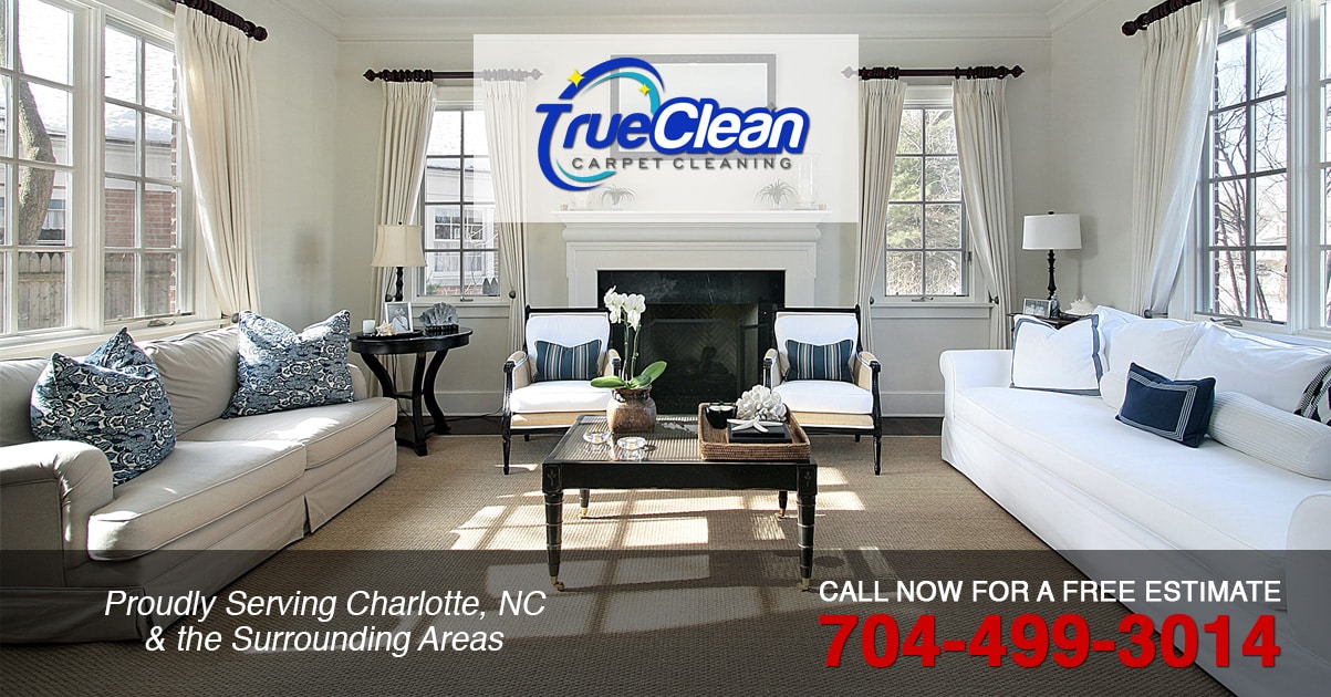 Contact Our Professional Carpet Cleaners Charlotte NC True Clean
