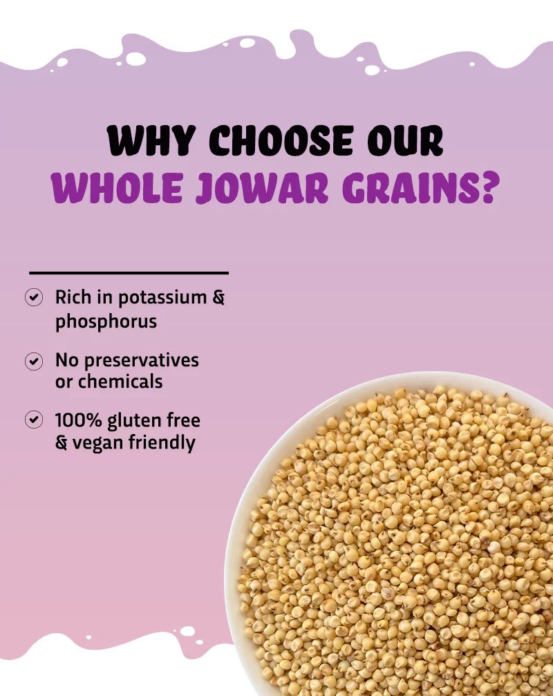 Buy Whole Jowar Online Fiber Rich Jowar True Elements