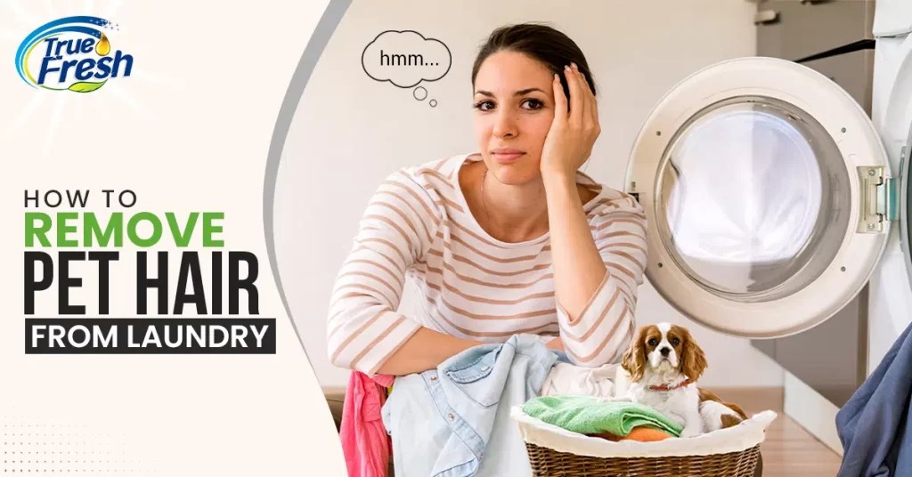 How To Remove Pet Hair From Laundry True Fresh™ [Updated]