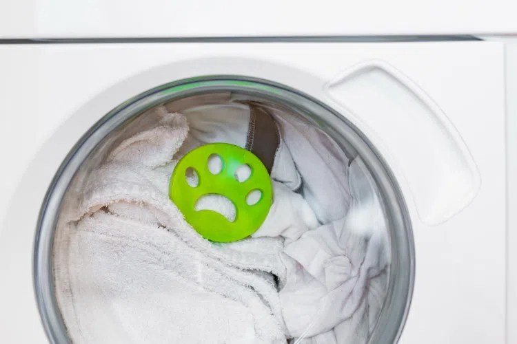 How To Remove Pet Hair From Laundry True Fresh™ [Updated]