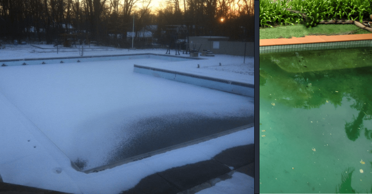 Tips To Prevent Pool Algae During Winter True Blue Pools