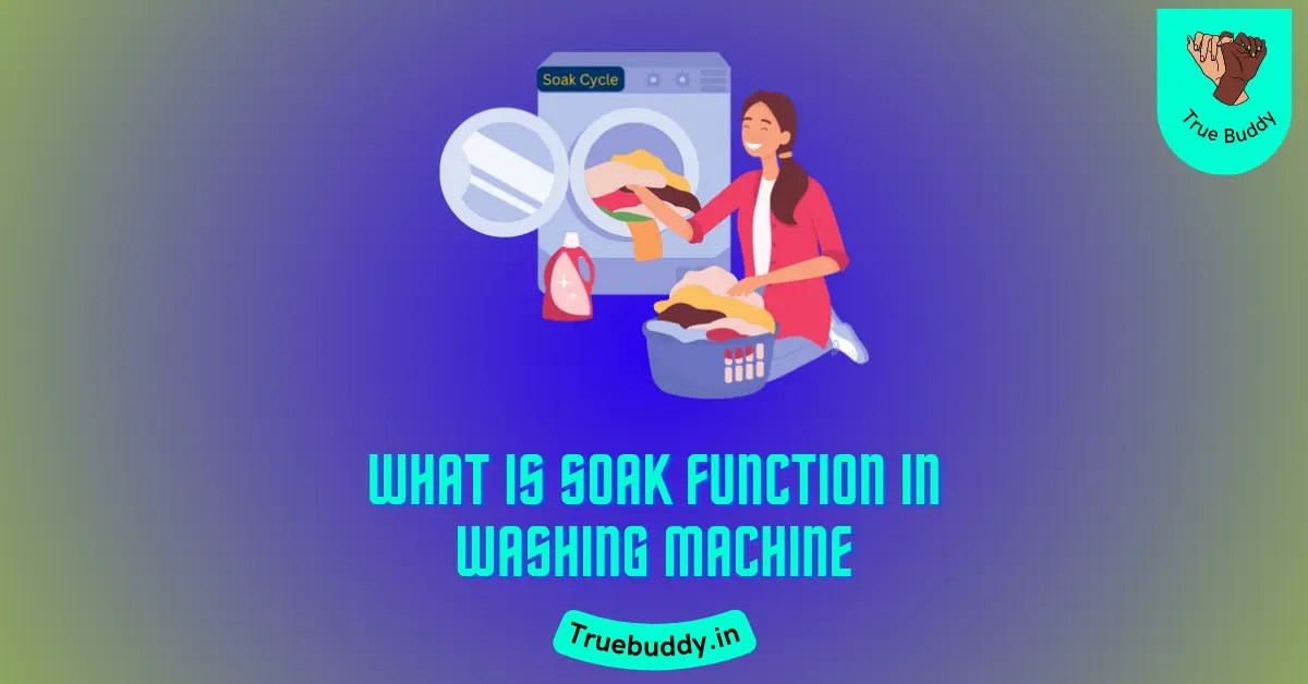 What Is The Soak Function In Washing Machine? Explained (2024) True
