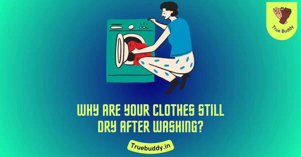 6 Reasons Why Your Clothes Still Dry After Washing (2024) True Buddy