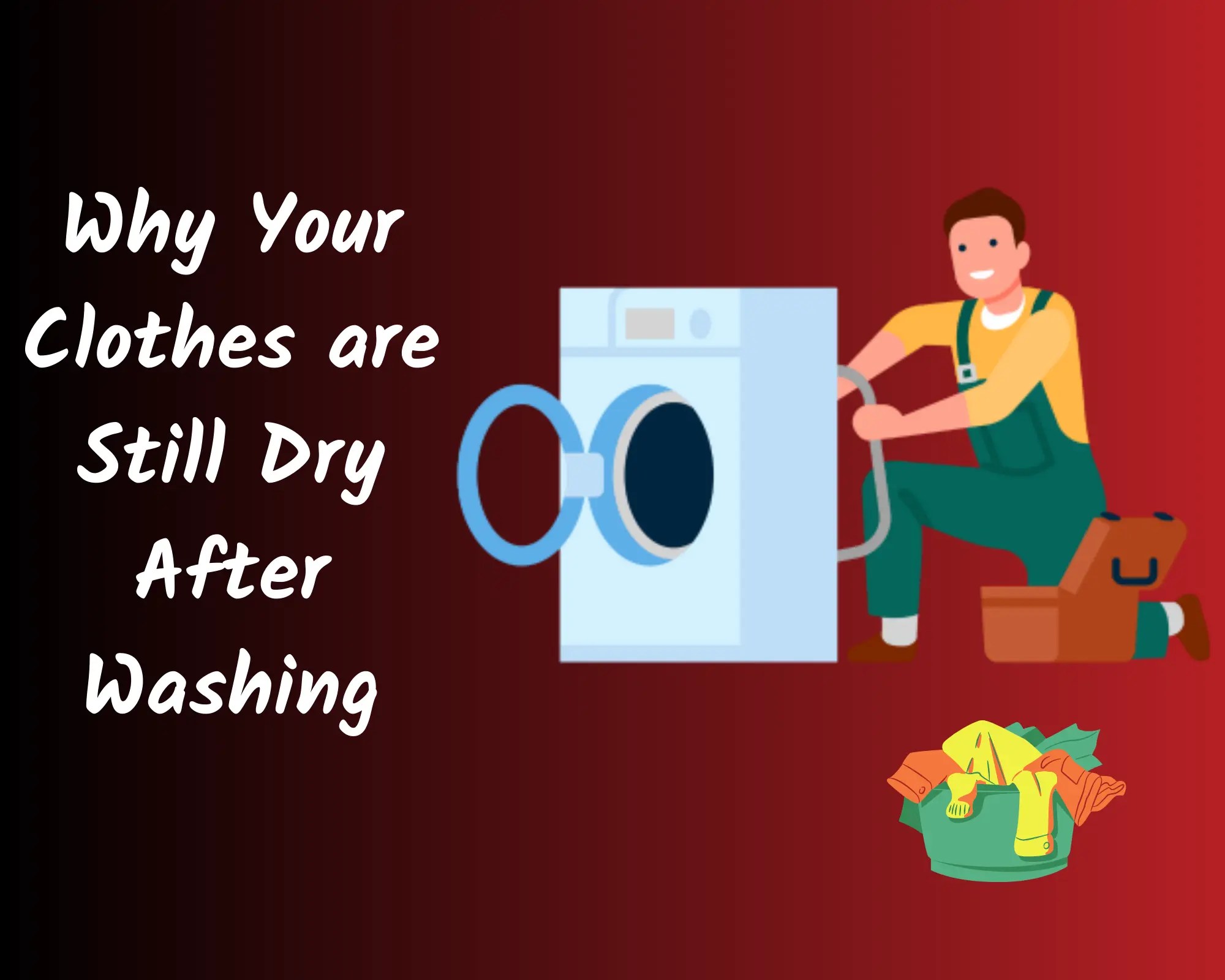 6 Reasons Why Your Clothes Still Dry After Washing (2024) True Buddy