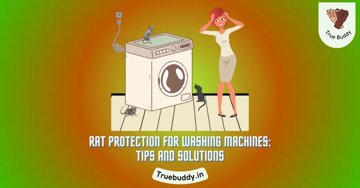 Ultimate Guide To Rat Protection For Washing Machines (2024) True Buddy