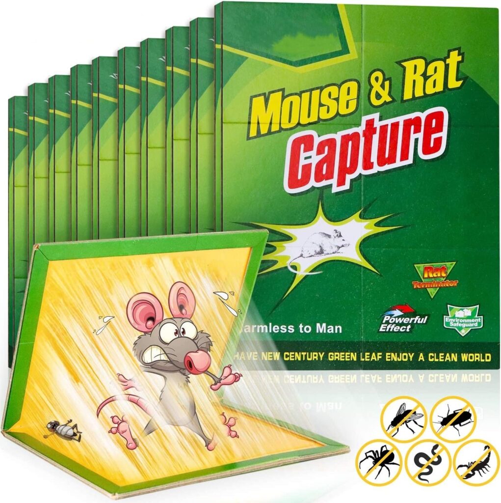 Ultimate Guide To Rat Protection For Washing Machines (2024) True Buddy