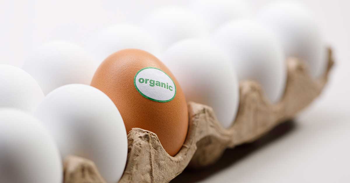 Decoding Egg Labels True Cellular Formulas®