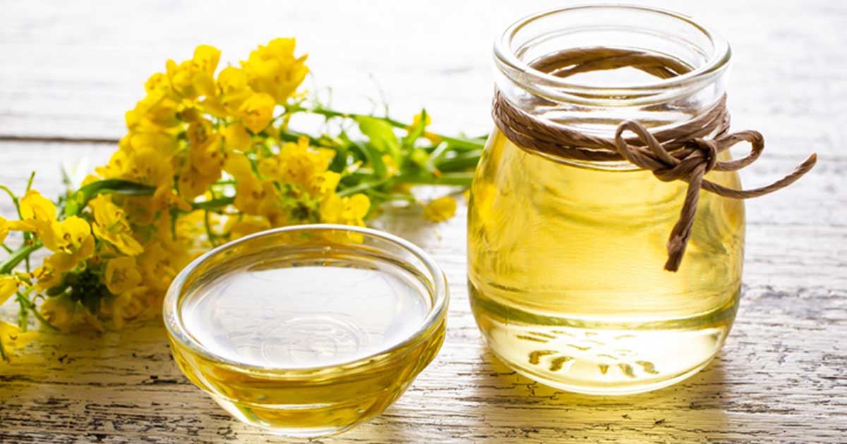Understanding Canola Oil True Cellular Formulas®