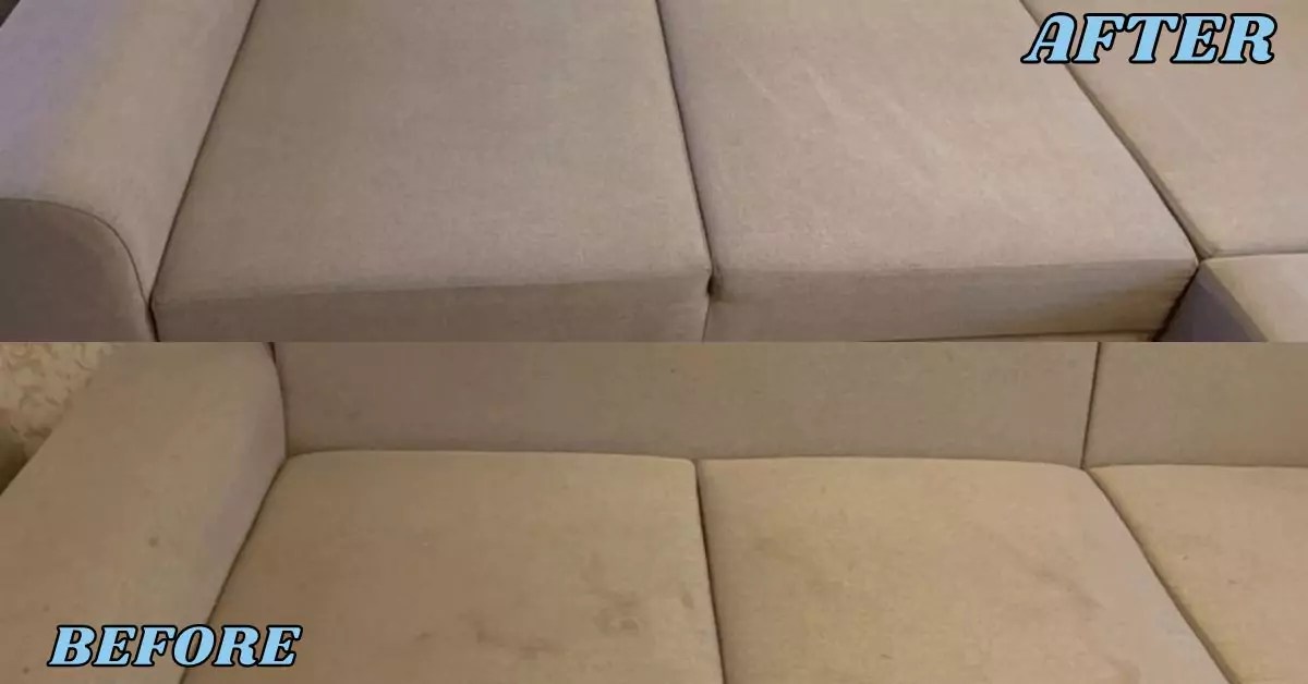 Premium Couch Cleaning Collingwood Park 0480015842 Couch Cleaning