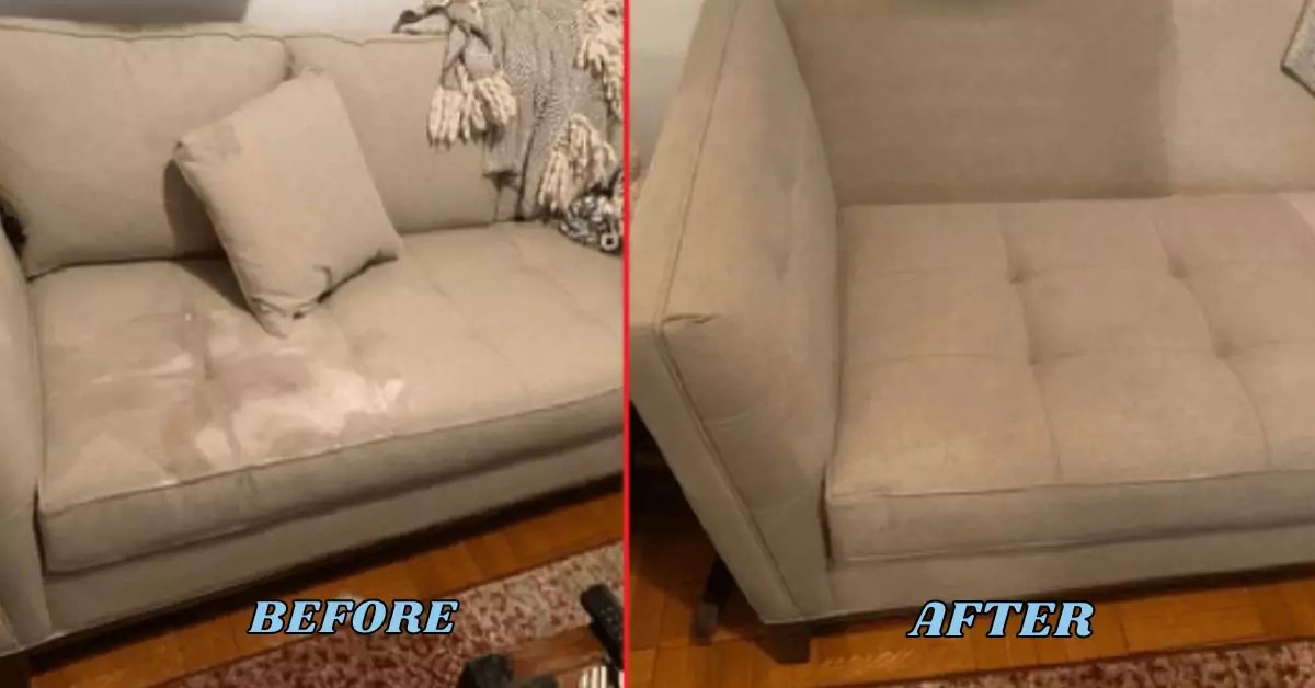 Premium Couch Cleaning Doolandella 0480015842 Couch Cleaning Services