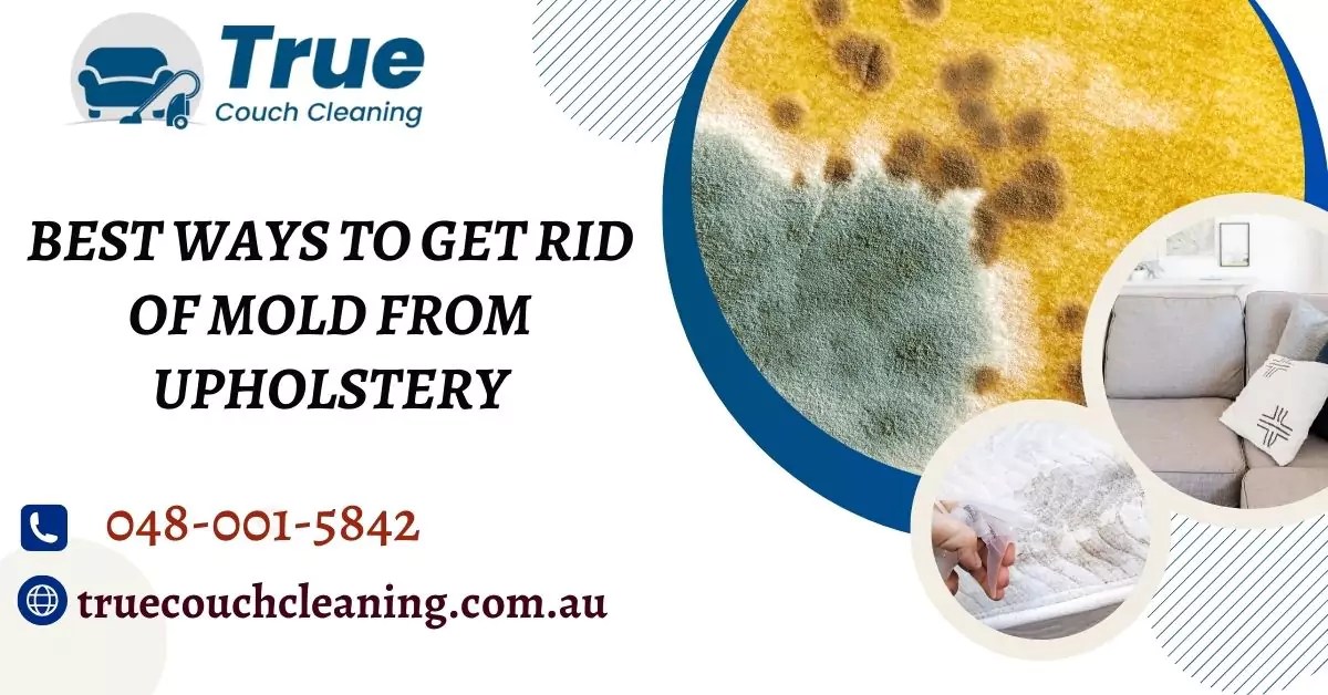 Effective Ways for Upholstery Mould Removal Upholstery Cleaning