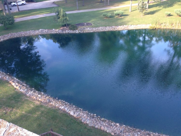 How much does a 1/4 acre pond cost?
