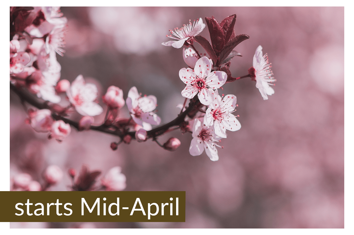 What the Proposed Realtor Settlement Means for Door County True North