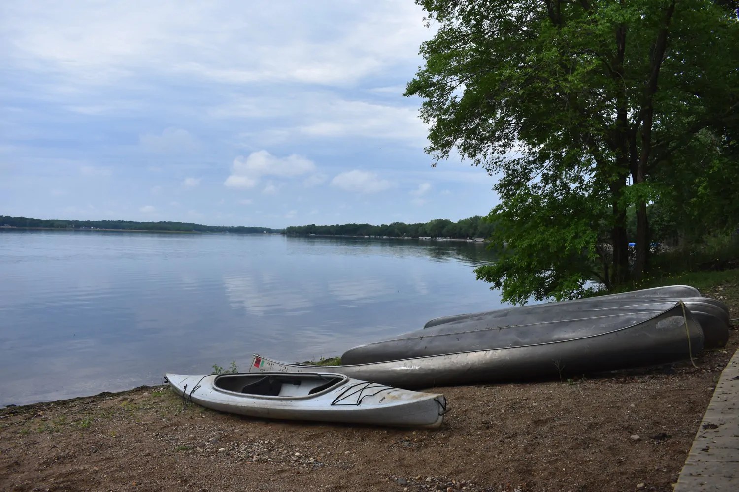 Camp Friendship True Friends