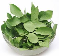 Vilva Ilai / Dried Bael Leaves (Raw) / வில்வ இலை - Shop organic herbal