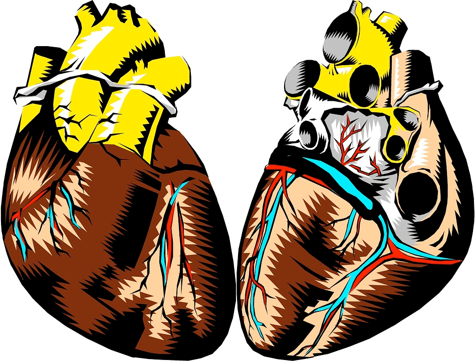 Why Your Heart Needs Vitamin E to Avoid Viral Attacks