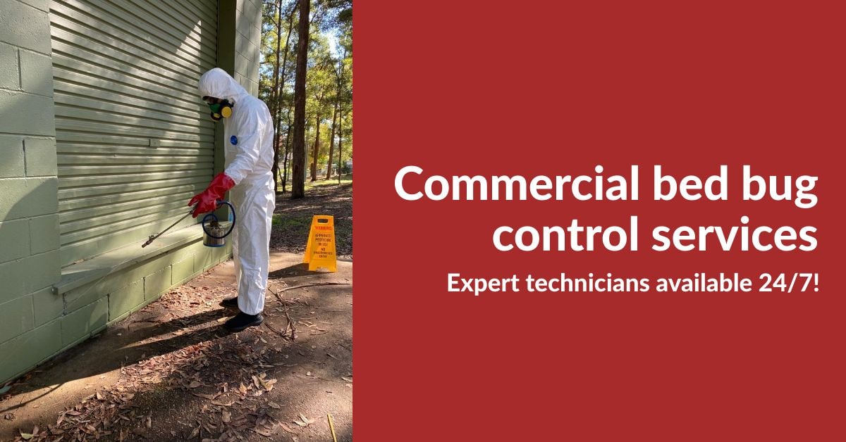 Bed Bug Control Marcoola 0480 022 718 Emergency Residential