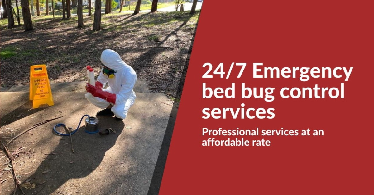 Bed Bug Control Marcoola 0480 022 718 Emergency Residential