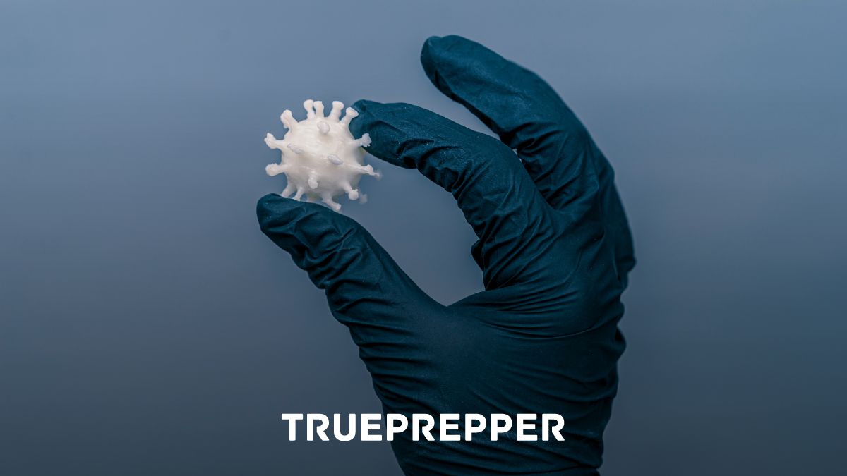 Best Nitrile Gloves for Prepping TruePrepper