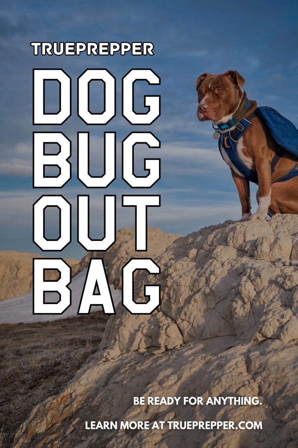 Dog Bug Out Bag Guide, Gear List, and Checklist TruePrepper