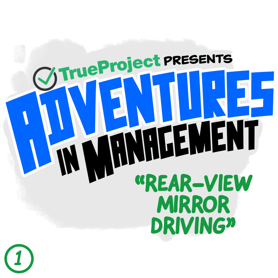 RearView Mirror Driving TrueProject