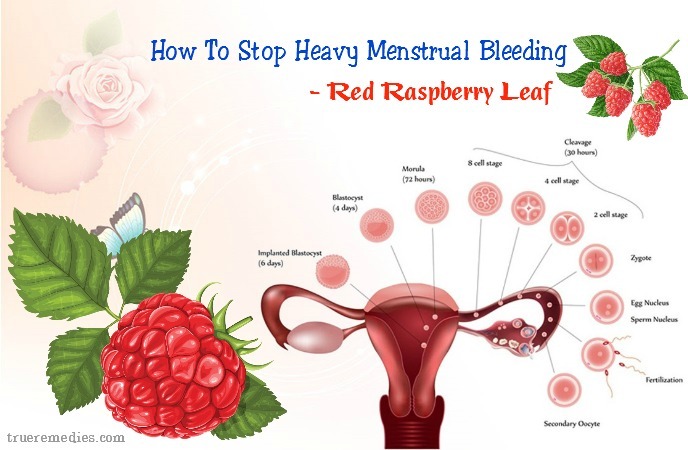 64 Tips How To Stop Heavy Menstrual Bleeding Flow (Menorrhagia)