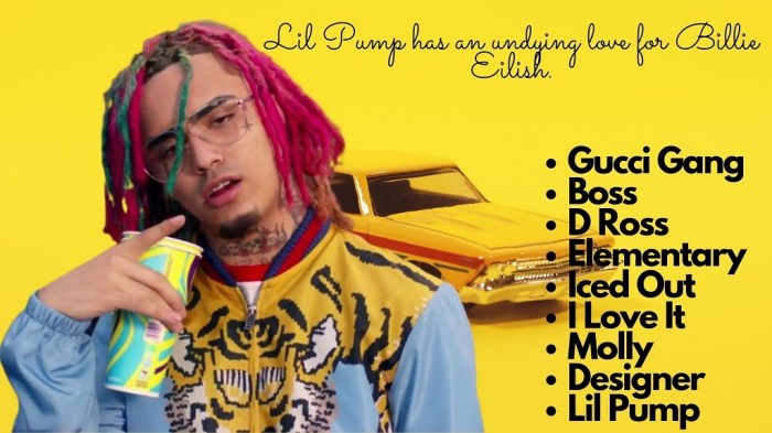 Lil Pump net worth | Career | Hit Songs | Education | Life Style ... Lil Pump net worth | Career | Hit Songs | Education | Life Style ...