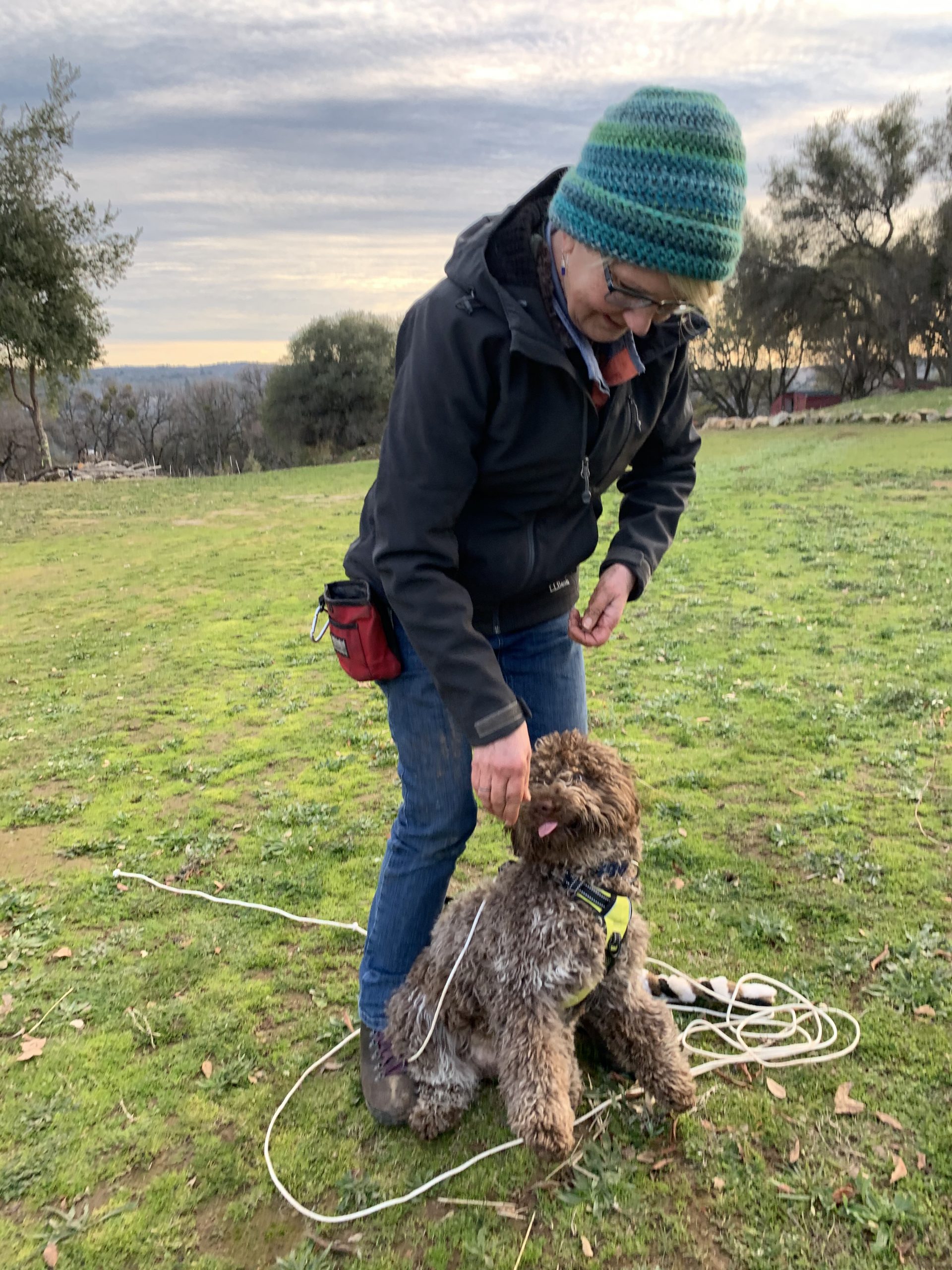 ZOOM WEDNESDAY Truffle Hunting Foundations 2 Truffle Dog Company