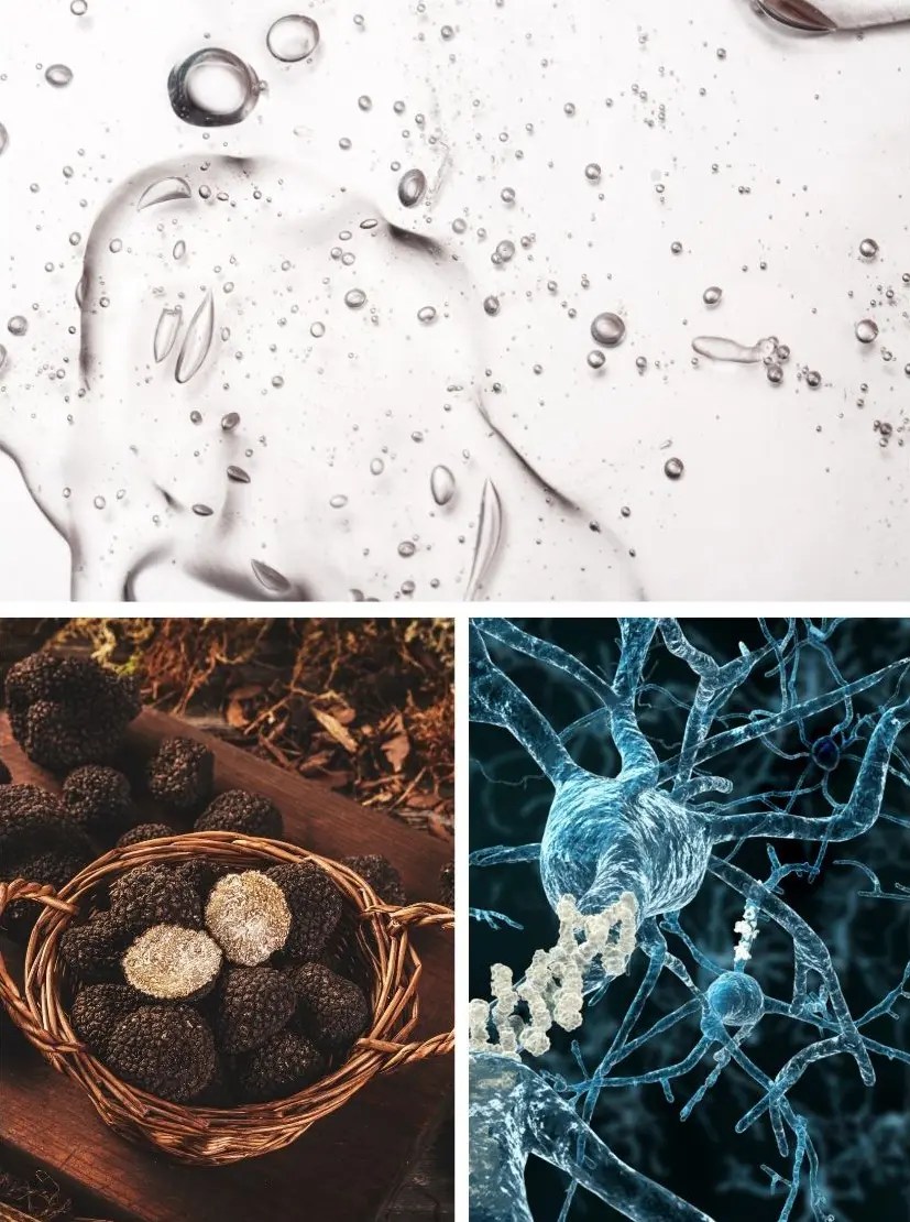 Black Truffle Instant Repair Syringe Truffoire Gourmet Skincare